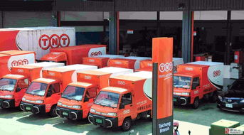 郑州TNT快递服务优势解析 卓越的国内货运代理解决方案