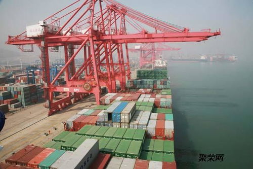 泉州至曹妃甸海运代理服务 一站式国内货运代理解决方案